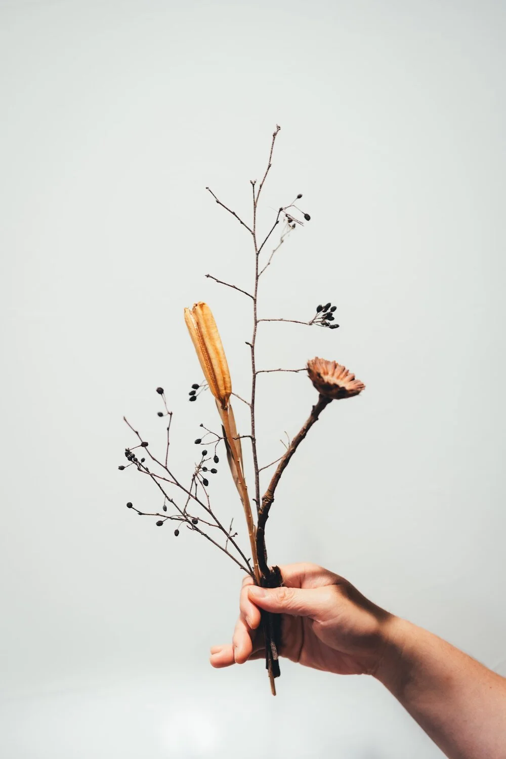 person holding twigs