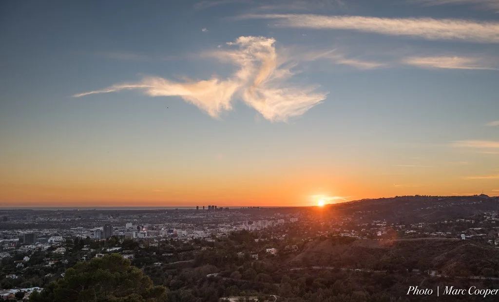 Too Much of a Good Thing?