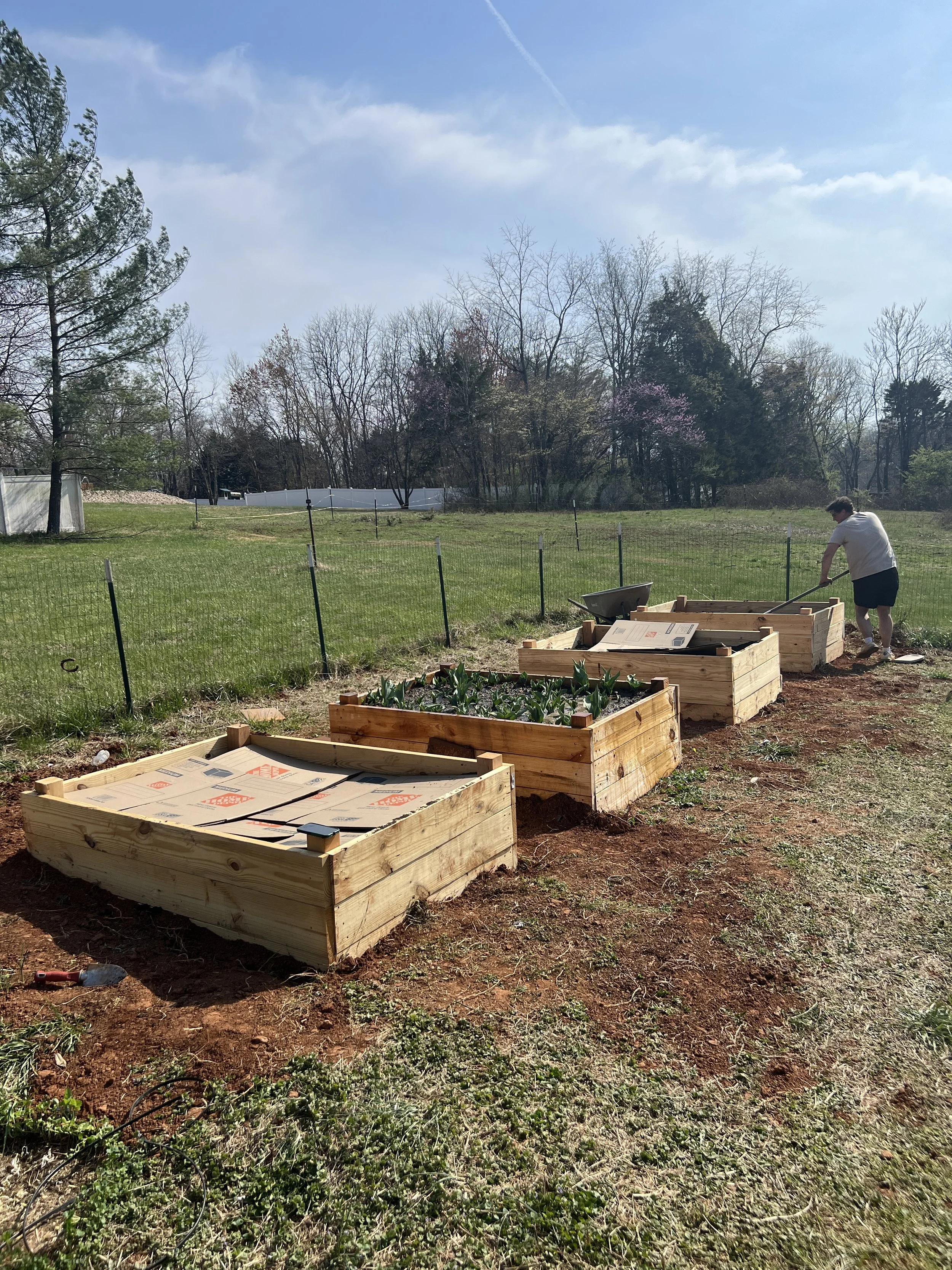 Person working on connecting wooden garden beds in a backyard with a grassy yard and trees in the background.