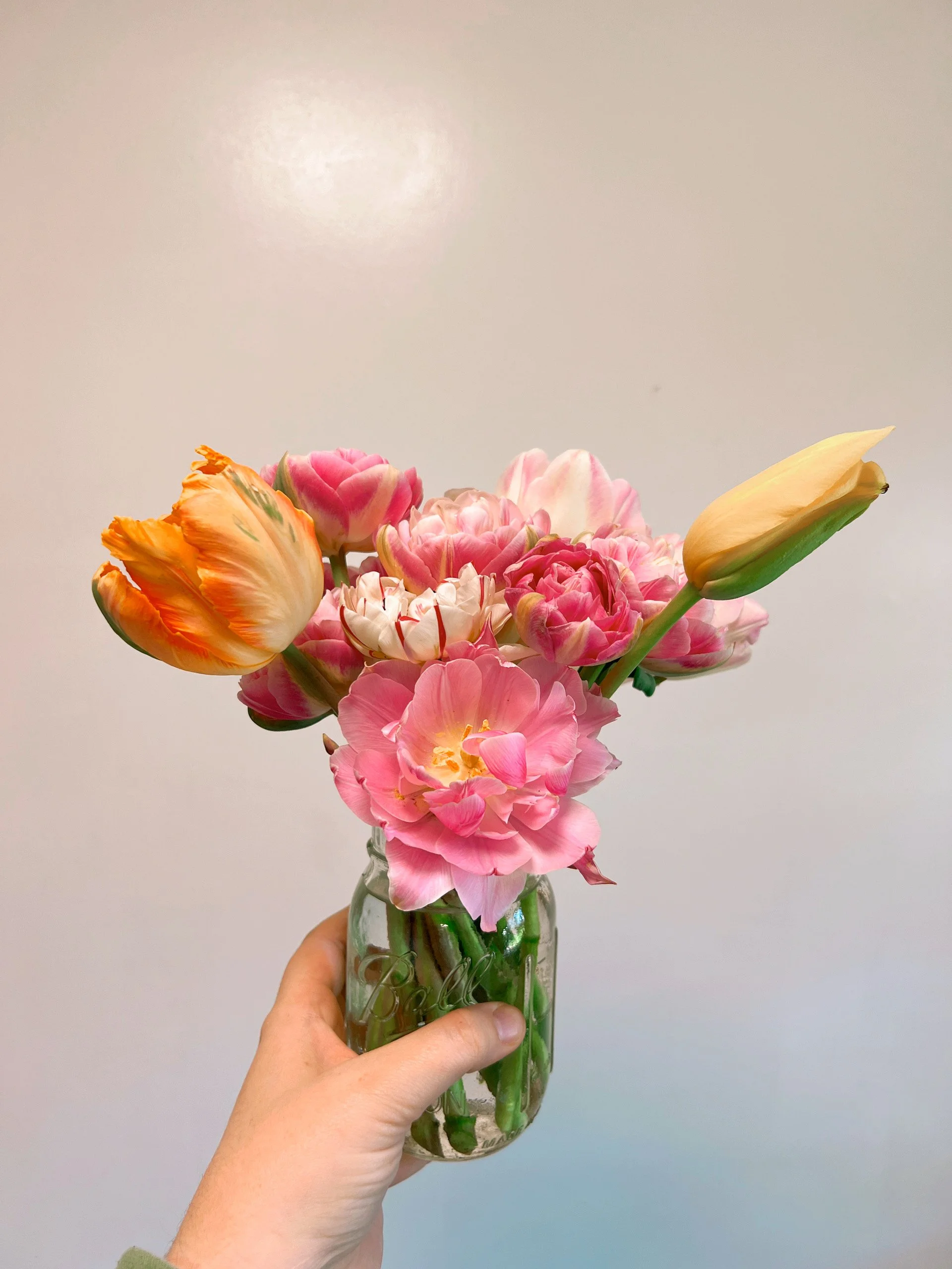 Hand holding a glass jar with a bouquet of pink, yellow, and orange tulips and ranunculus flowers against a plain wall background.