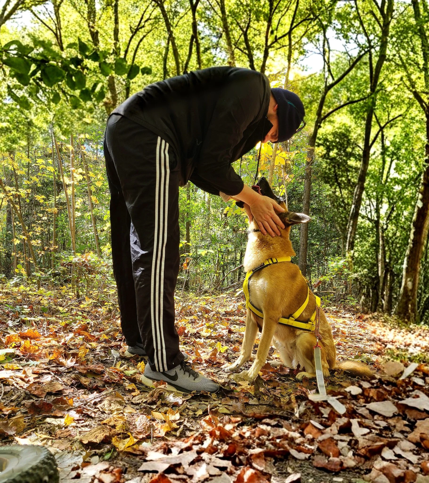 Alex Snowberger specialized dog training in action
