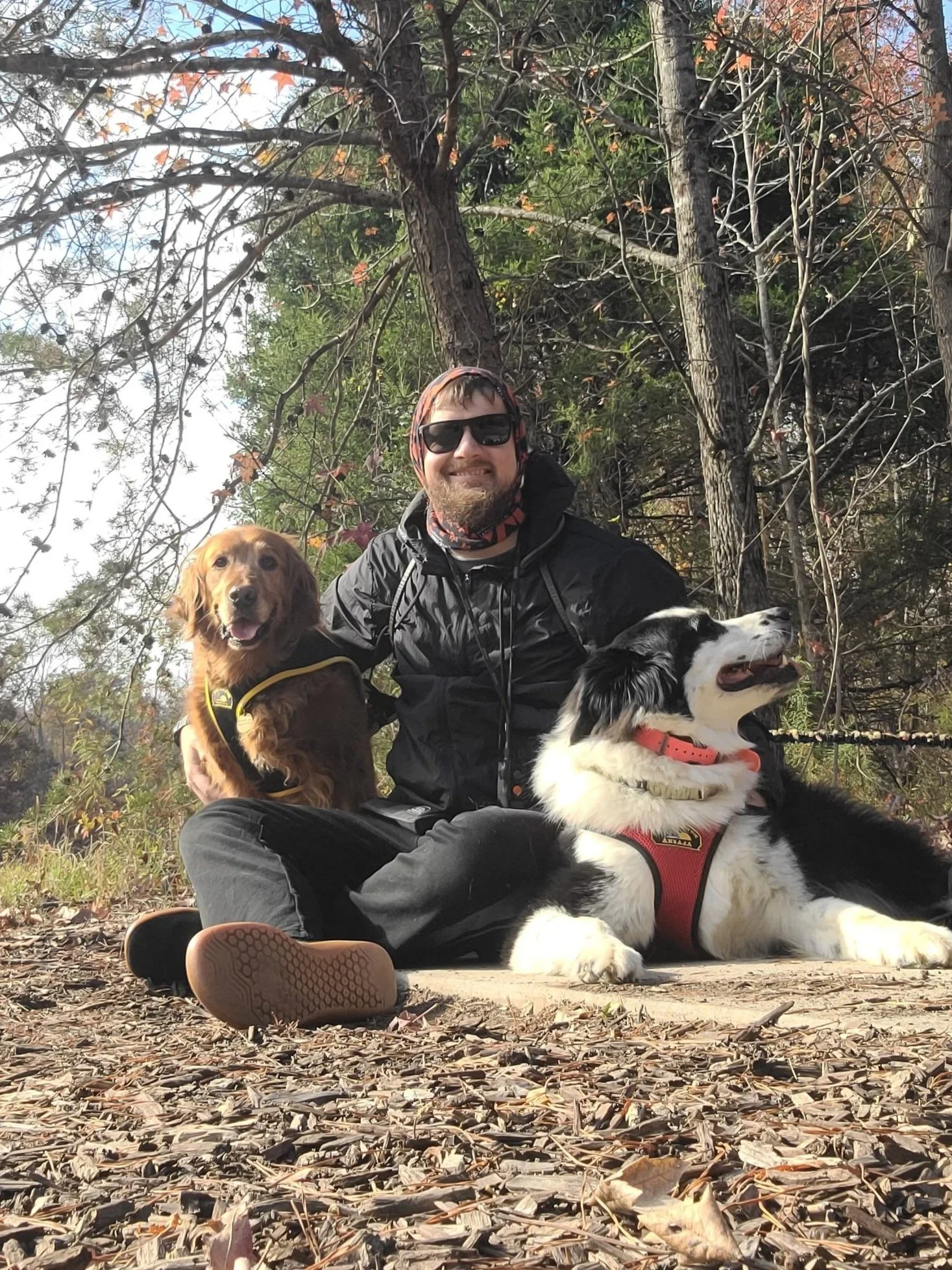Alex Snowberger Owner and Trainer of The Prominent Dog Training Academy
