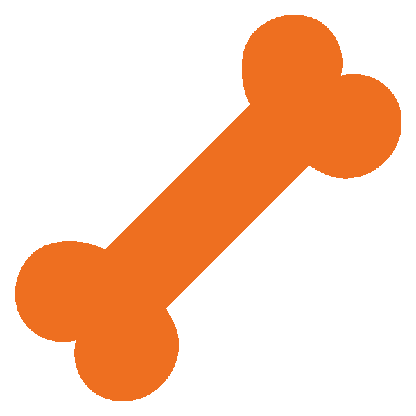 Dog Bone Icon