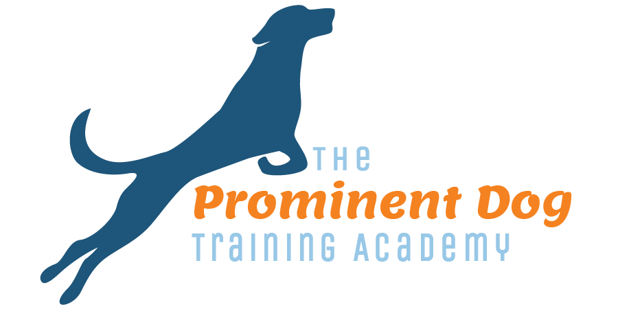 The Prominent Dog Training Academy | Greensboro, NC