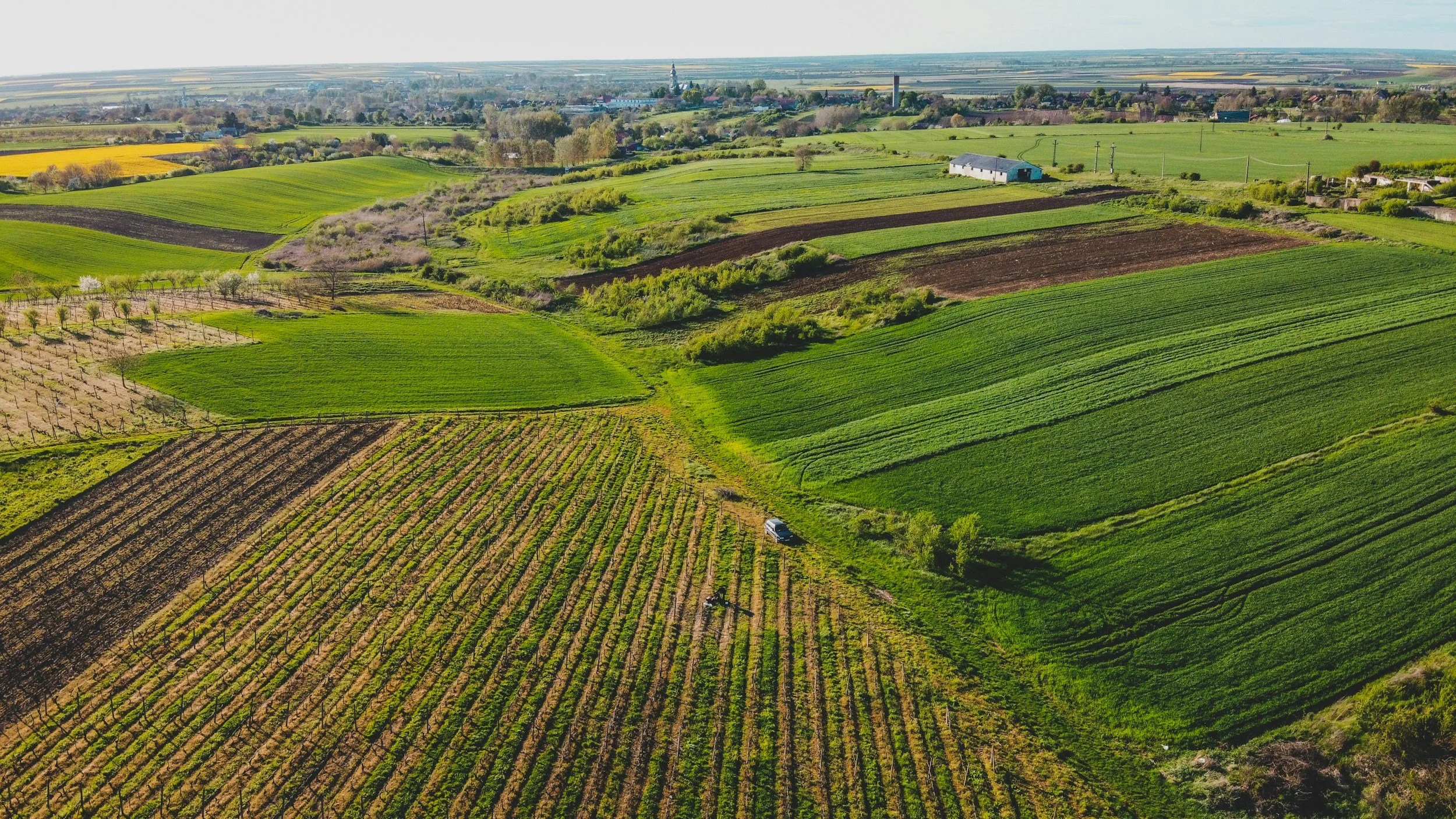 Beautiful agricultural landscape with green crops growing on a farm in Alberta, representing agriculture and rural farming operations