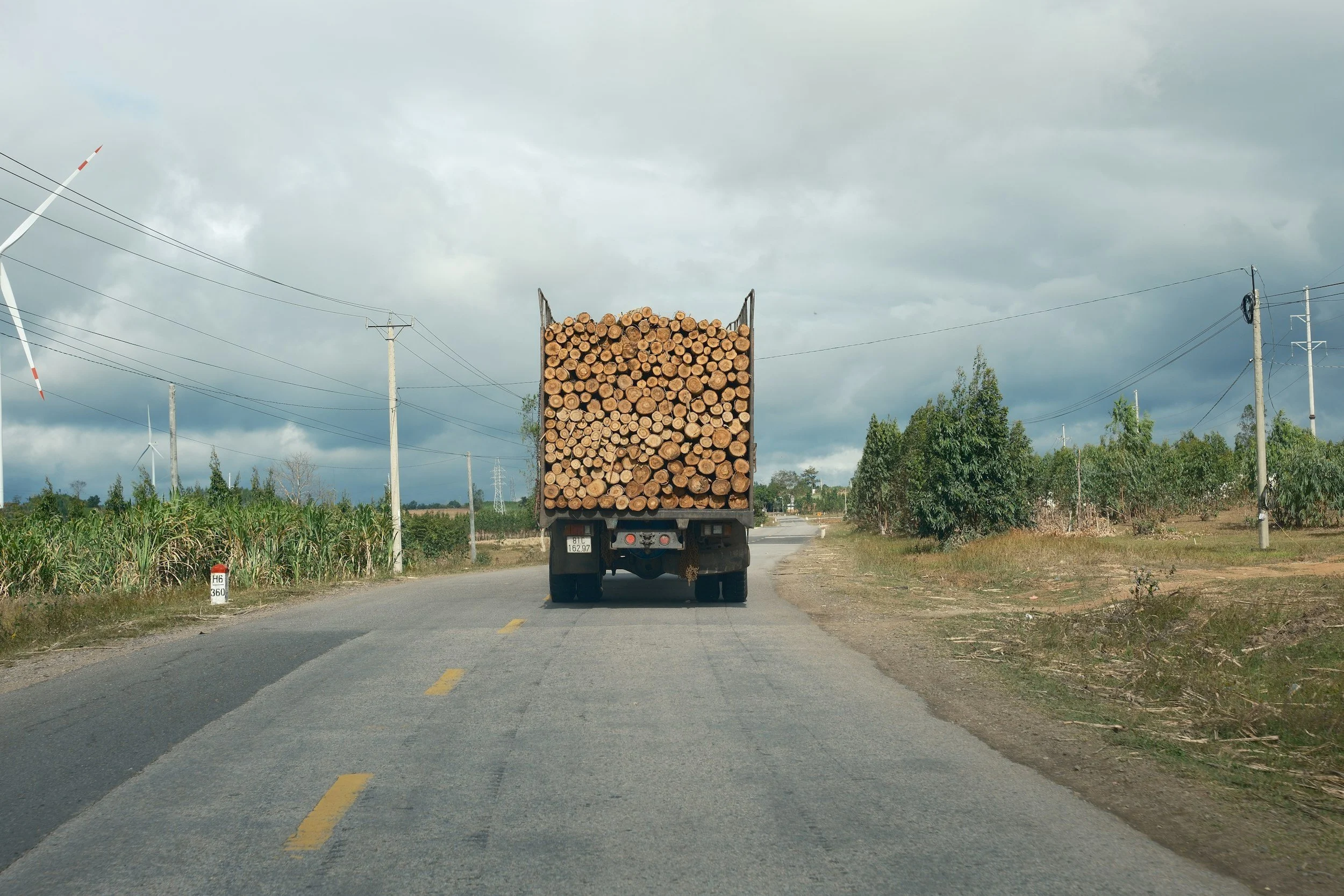 Semi-truck transporting timber logs on a highway in Alberta, supporting forestry logistics and freight transportation across Canada