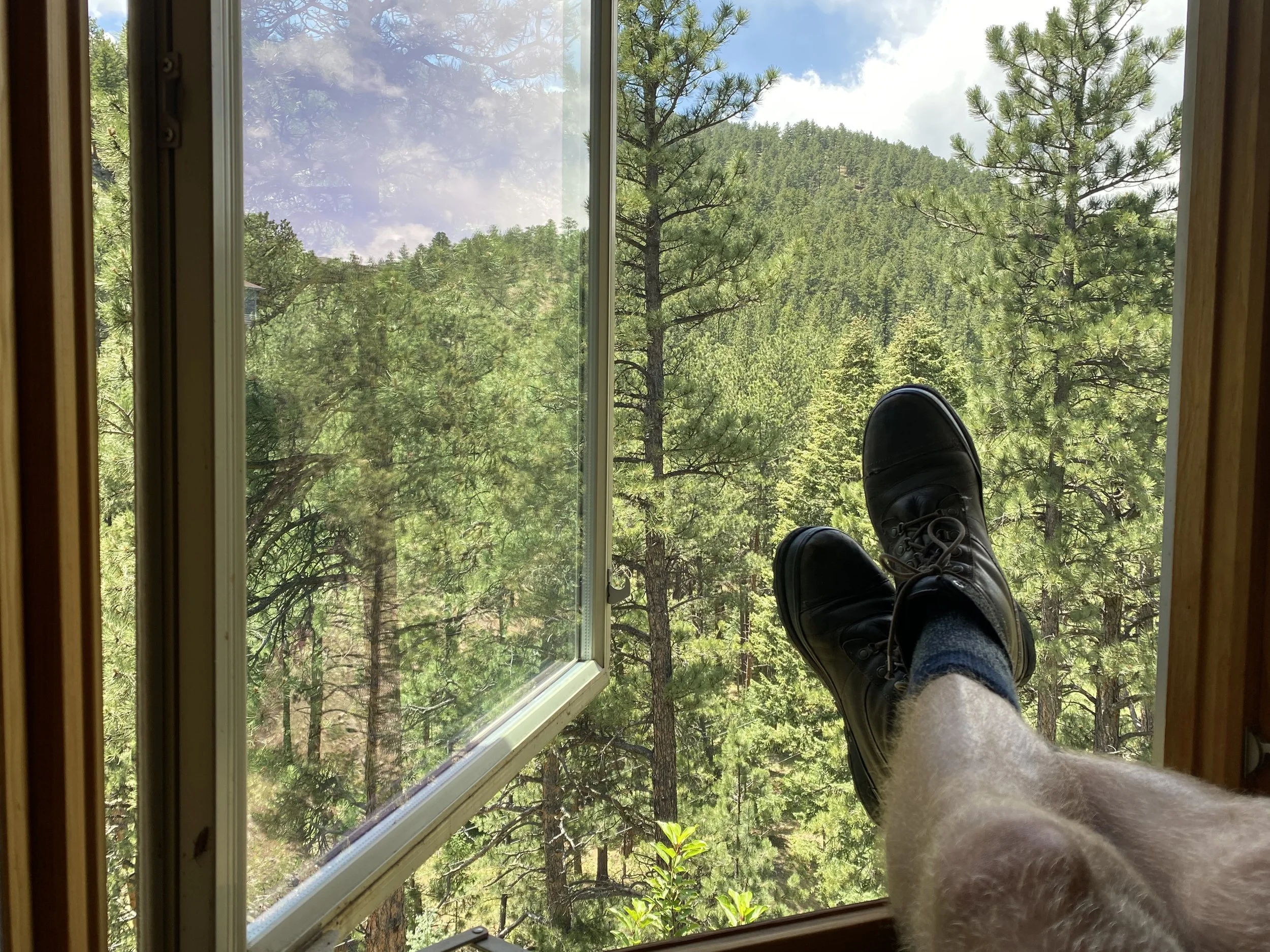 IMG_6386.jpeg
