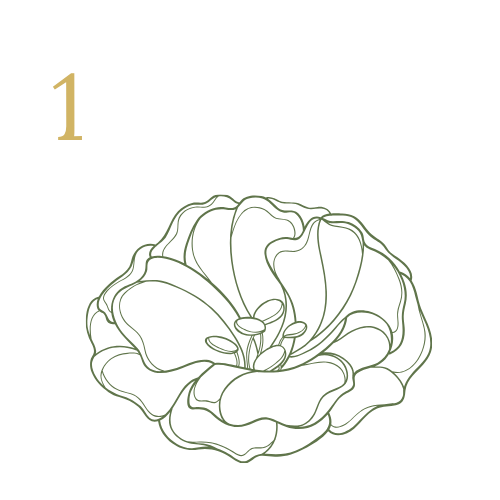 En grafisk illustration av en blomma i grönt med nummer 1 i guldfärg i det övre vänstra hörnet.