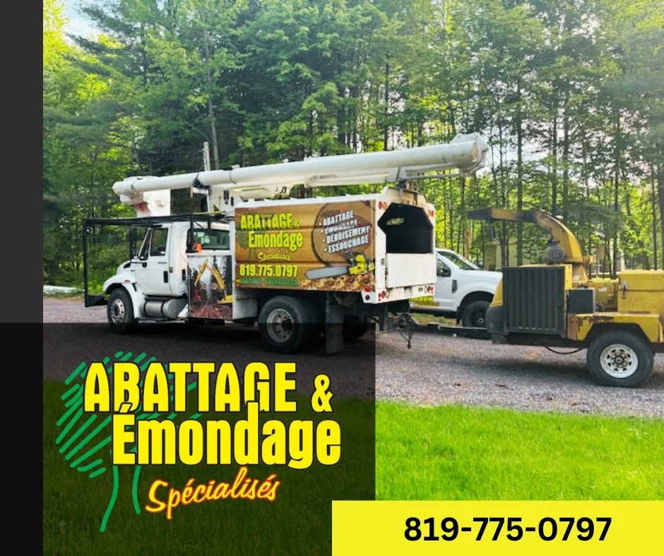 Abattage &amp; Émondage Spécialisés