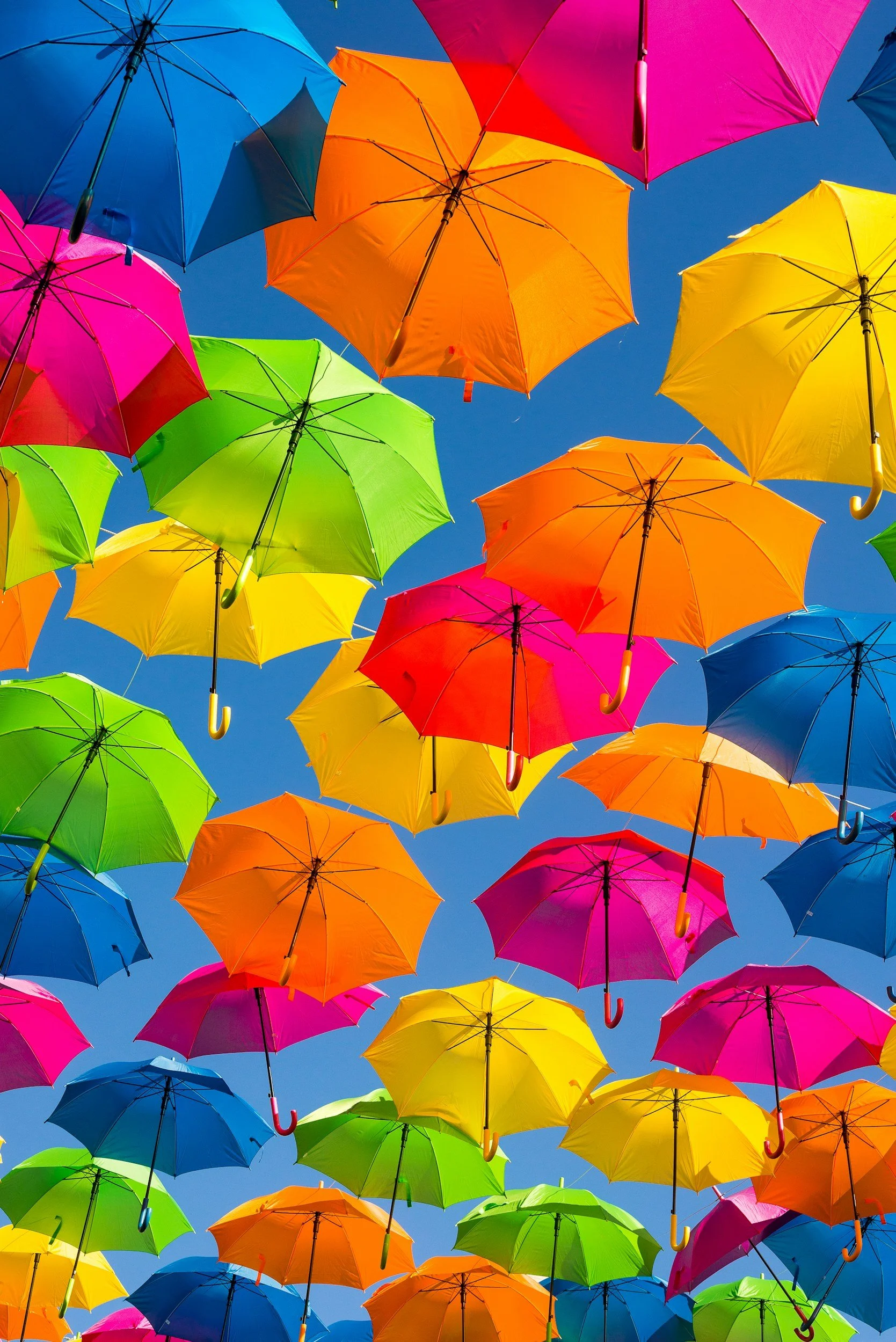 Image of multiple colorful, umbrellas, for article about protect protecting your money