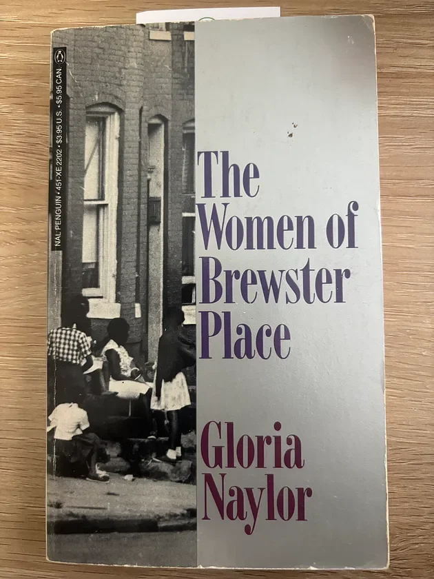 The Women of Brewster Place novel (1982) - Book