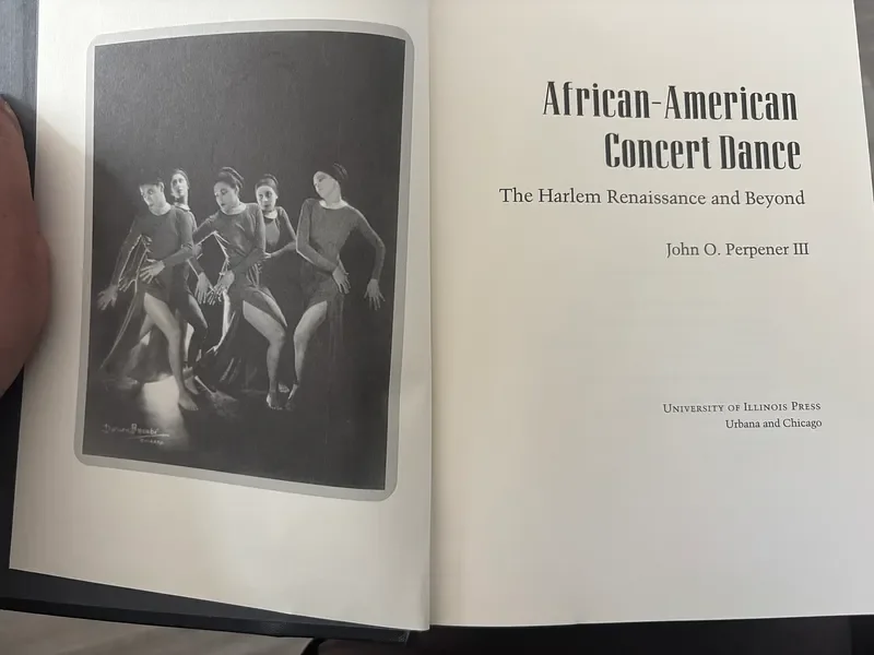 African-American Concert Dance (2001) - Book