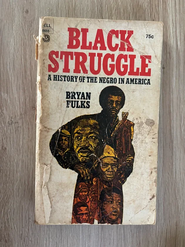 Black Struggle: A History of the Negro in America (1969) - Book