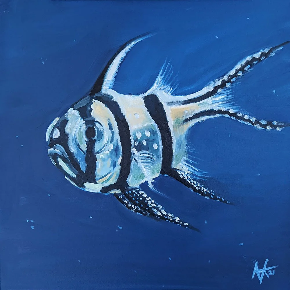 Cardinal Fish