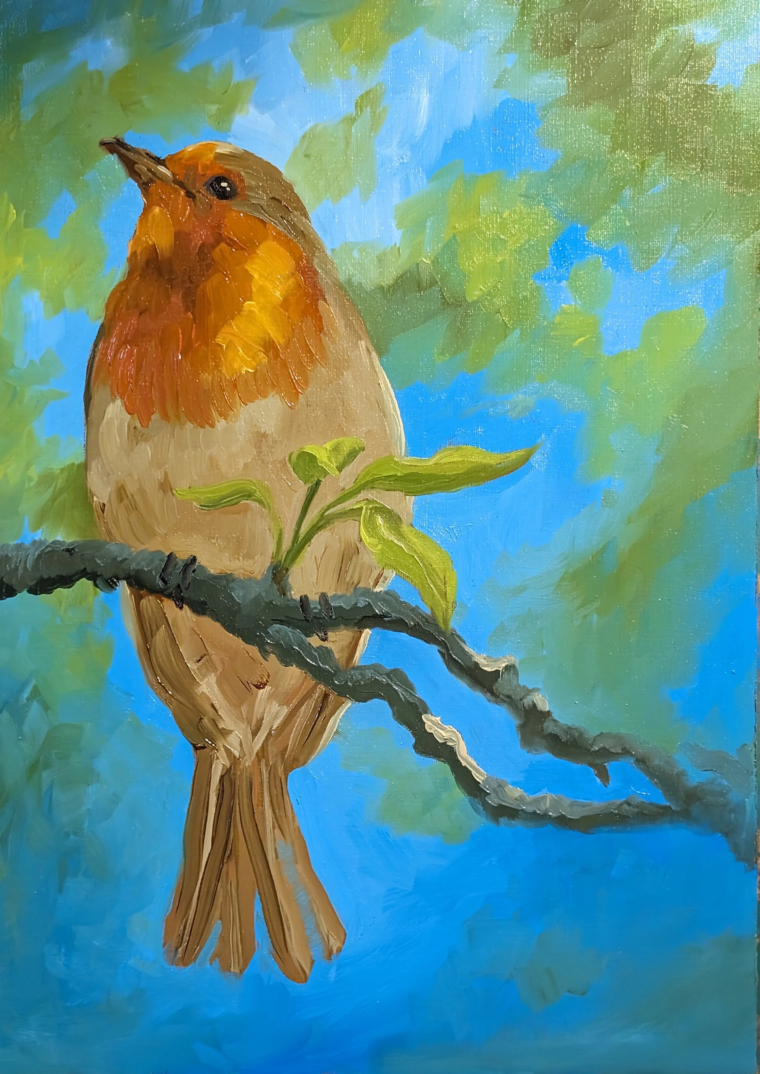 Robin