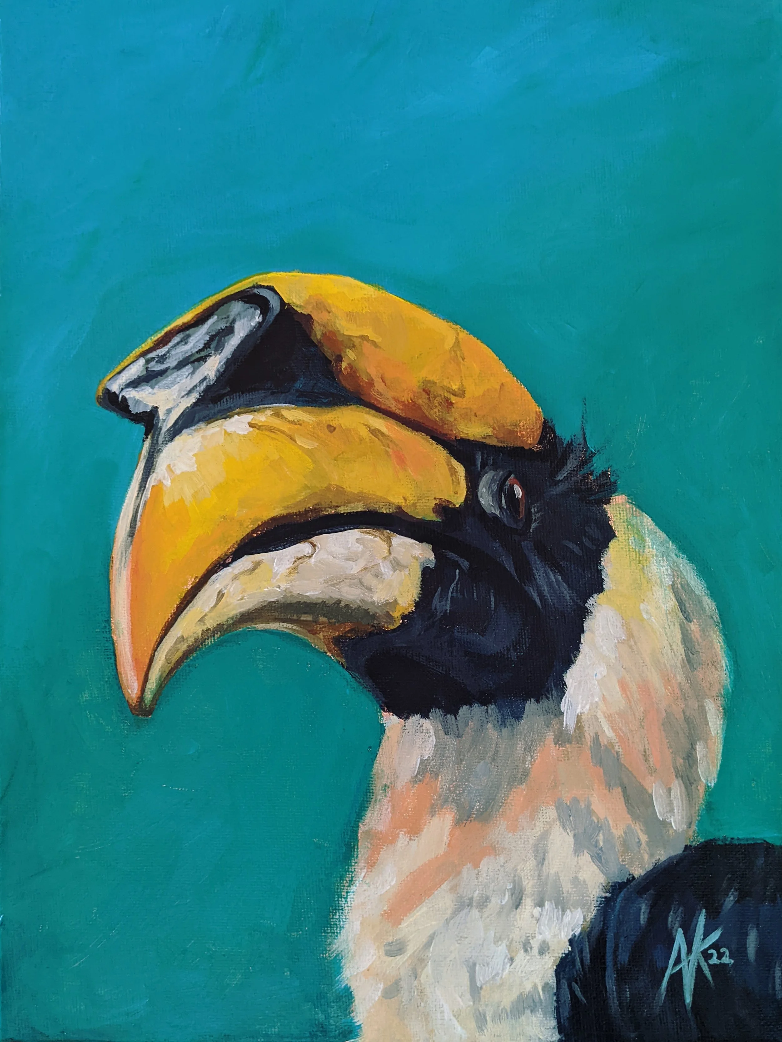 Hornbill
