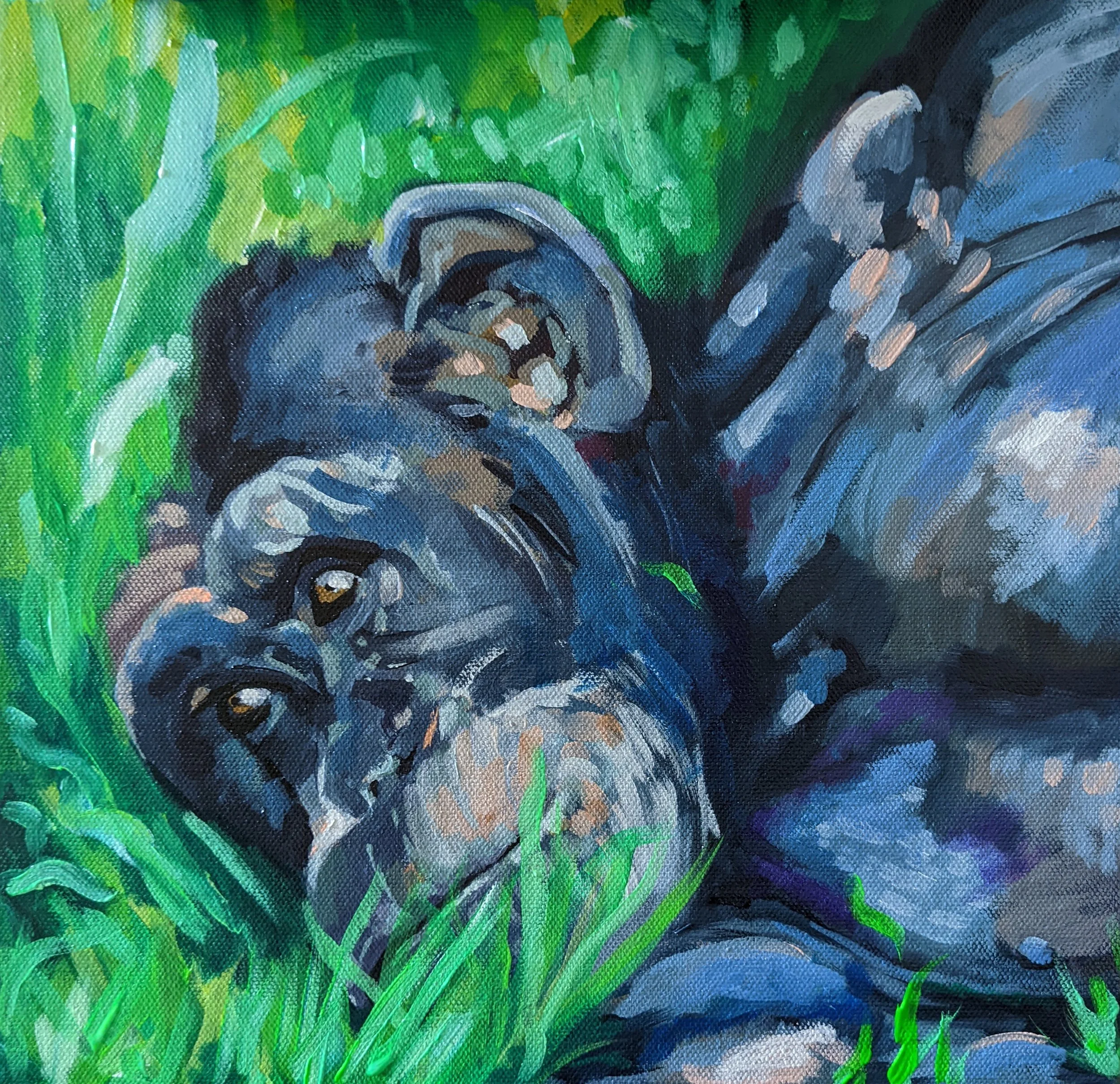 Chimp