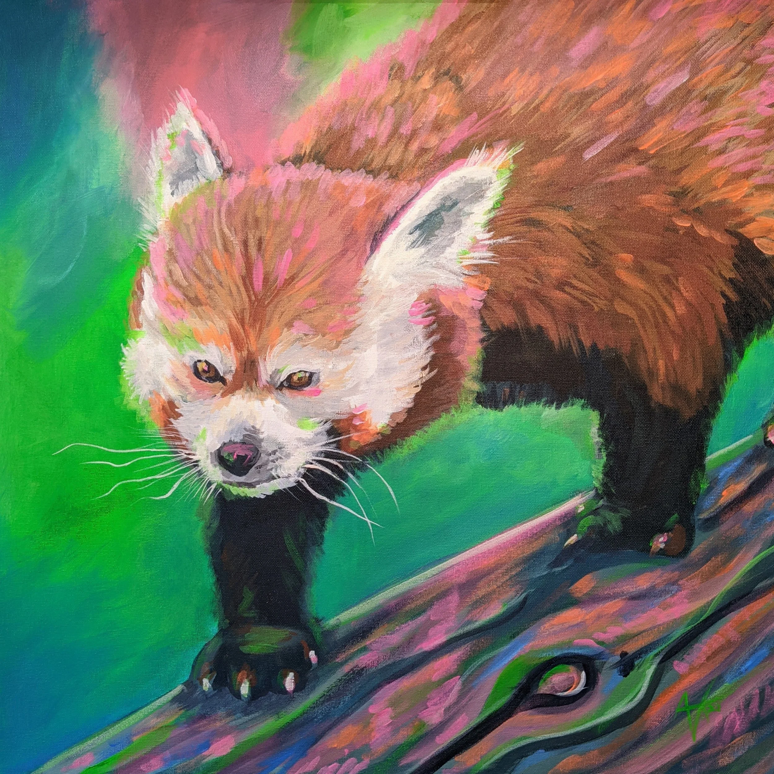 Red panda