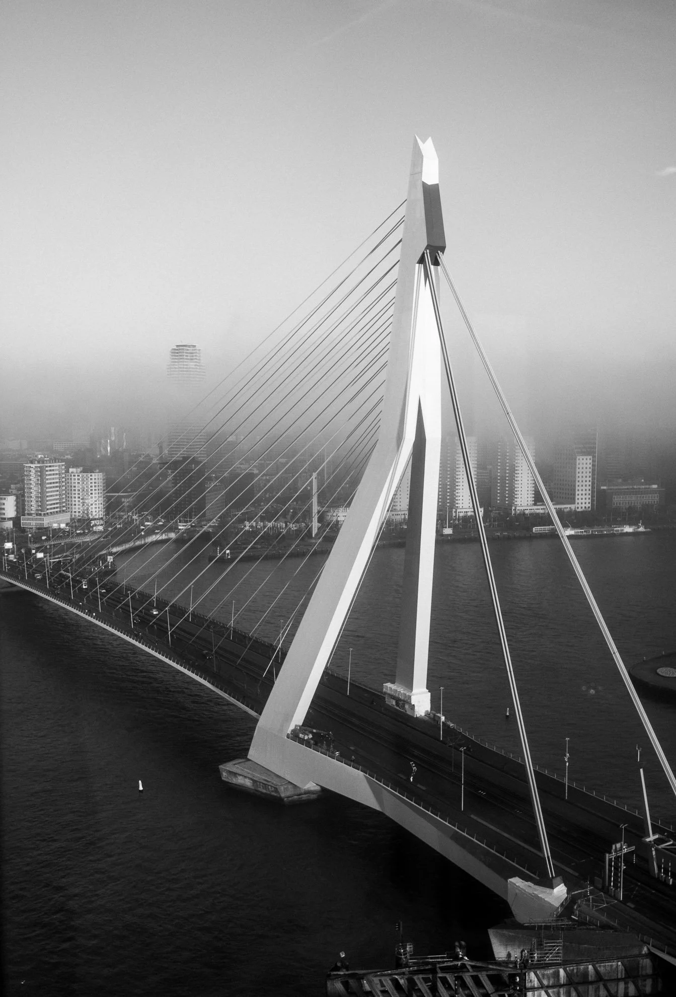 Black and white aerial view of the Erasmus Bridge in Rotterdam, Netherlands, spanning over the river with city buildings in the background.