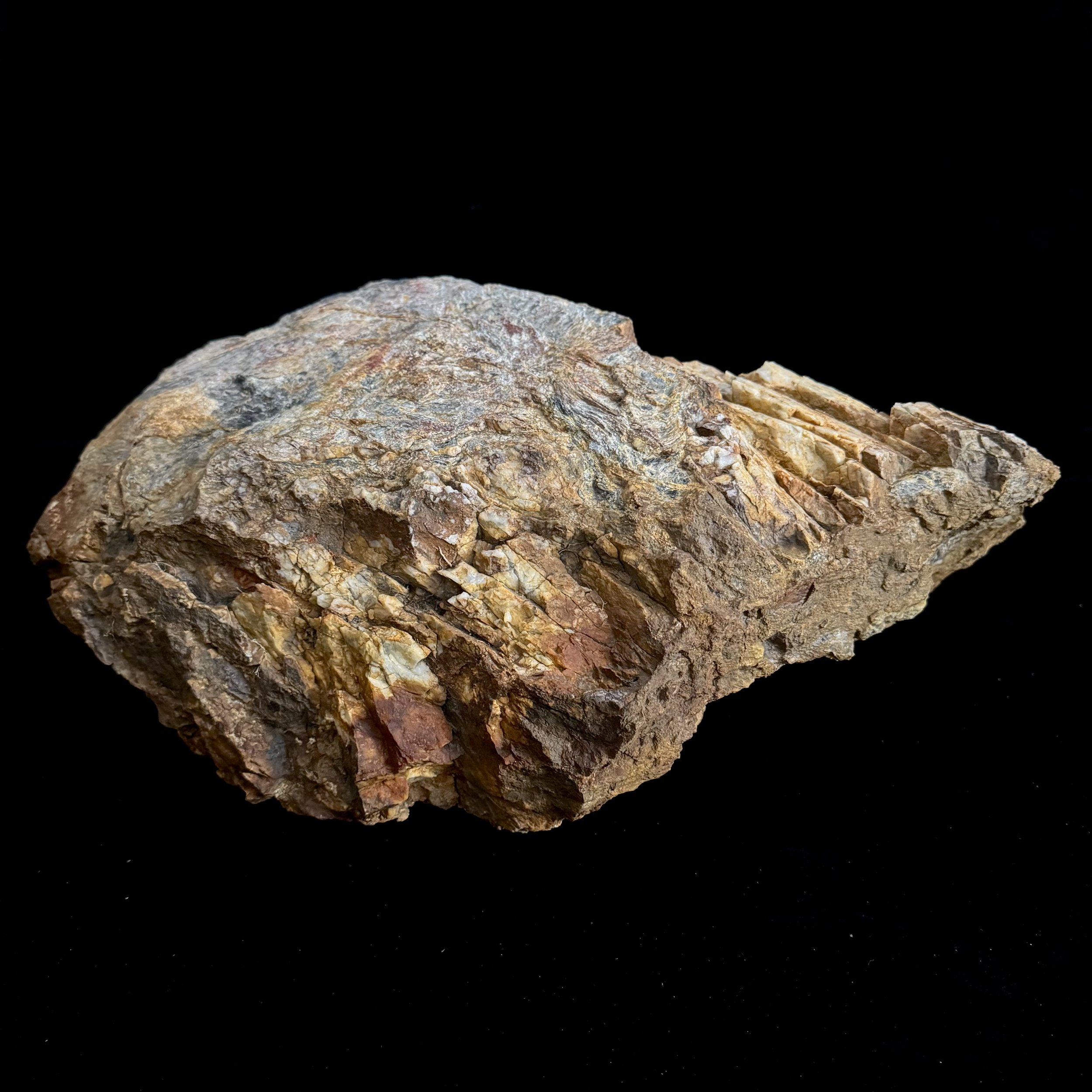 Back.jpg (Copy) (Copy)