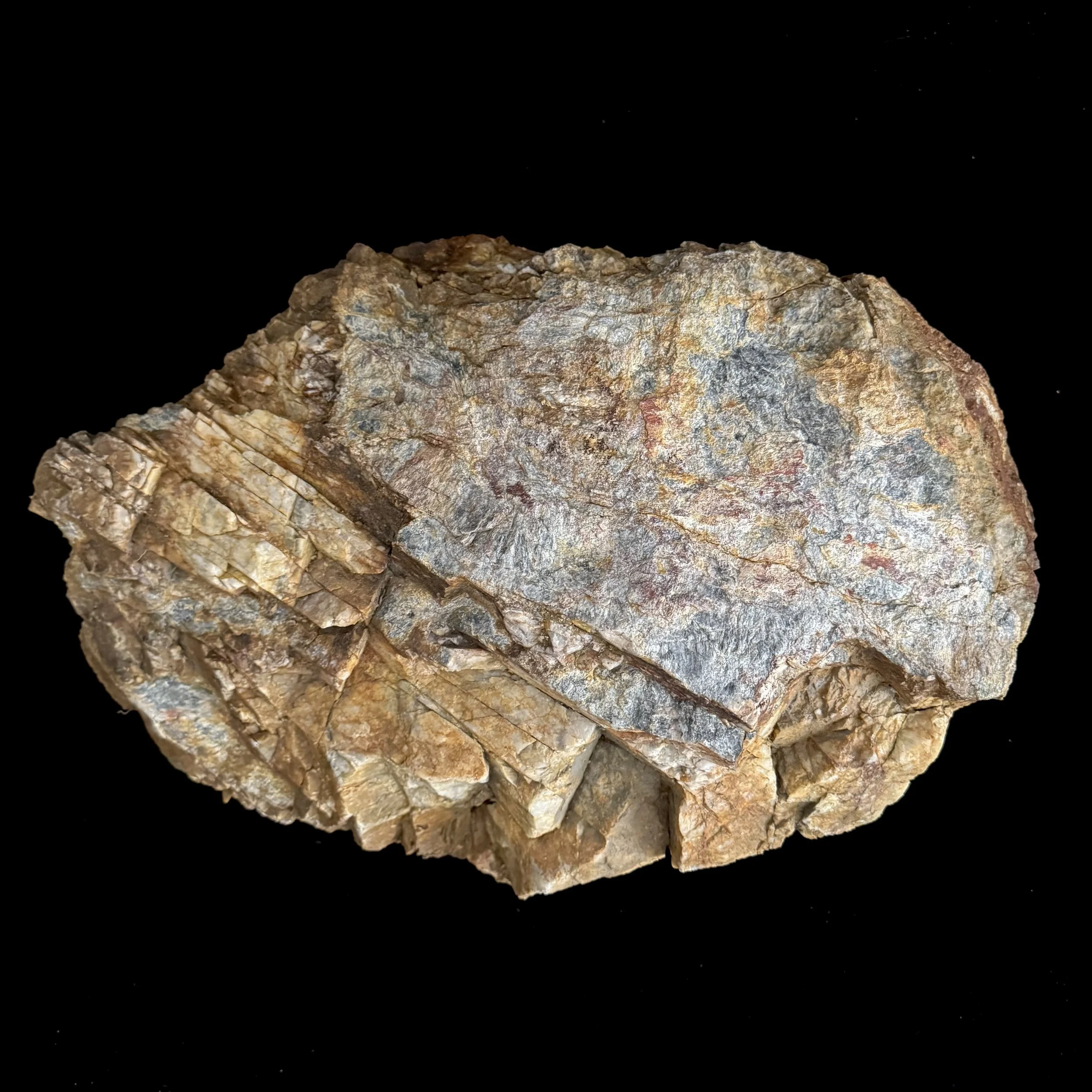 Top.jpg (Copy) (Copy)