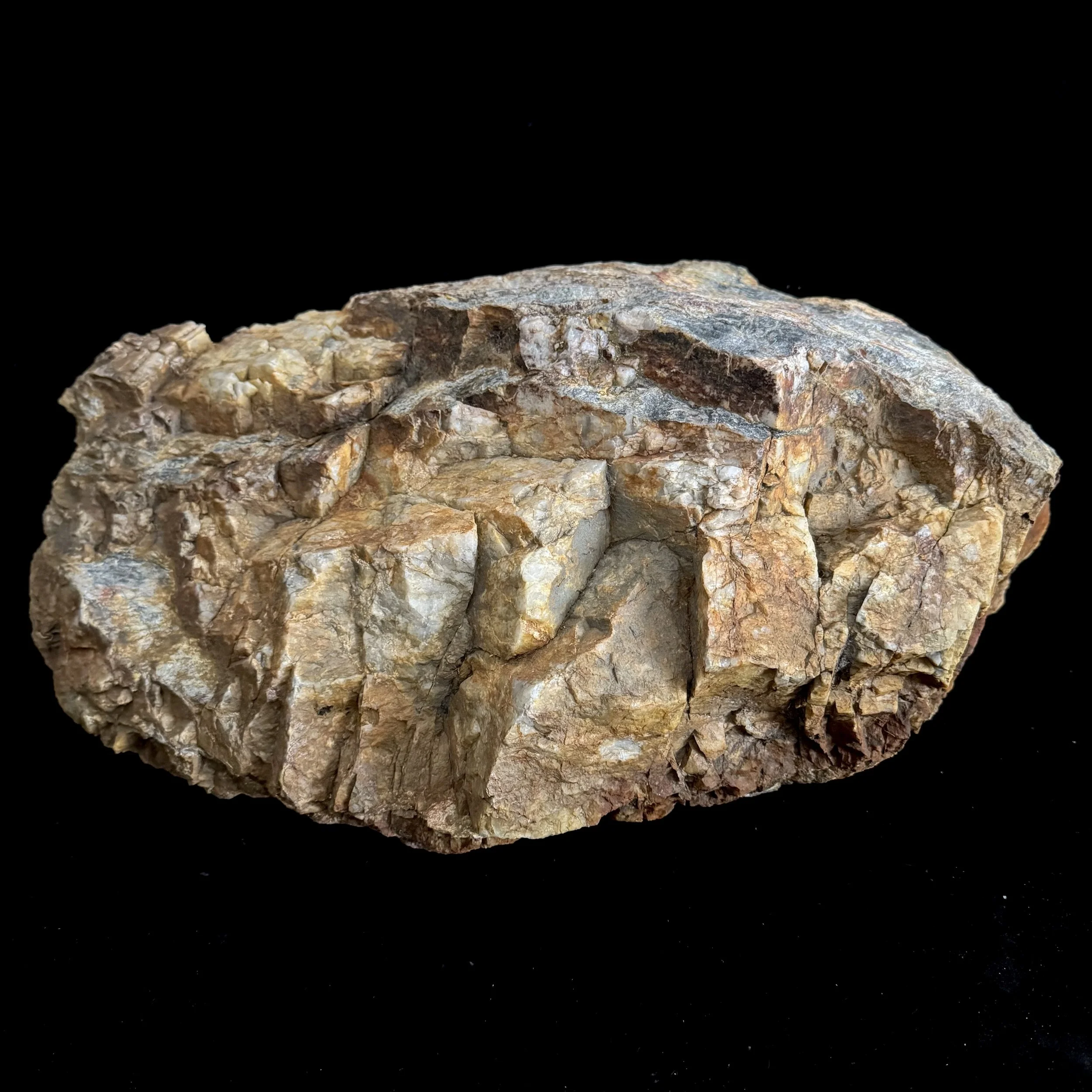 Front.jpg (Copy) (Copy)