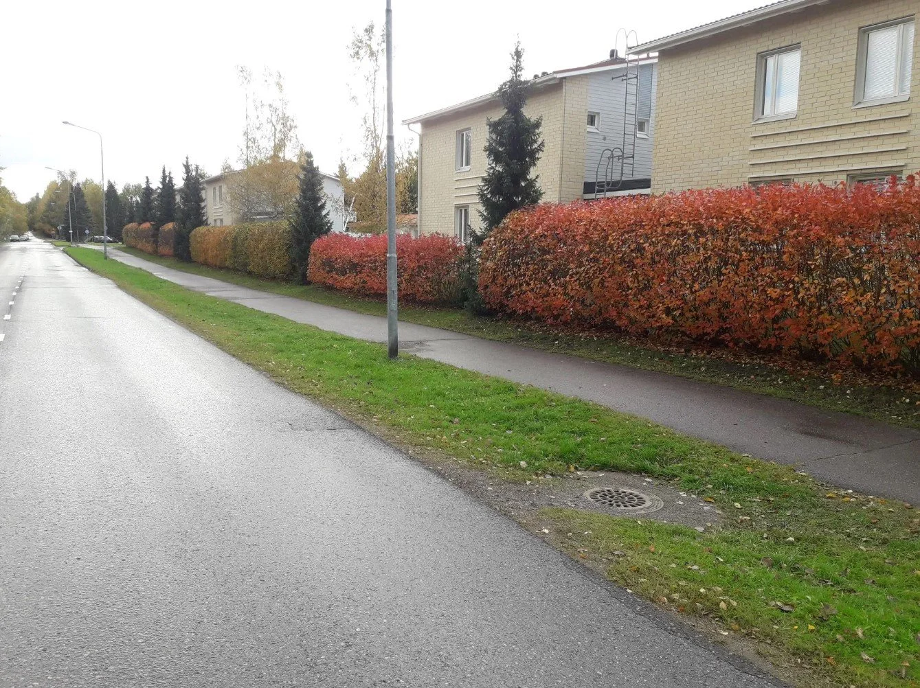 Arborstipalvelut Uudenmaan Pihapuu