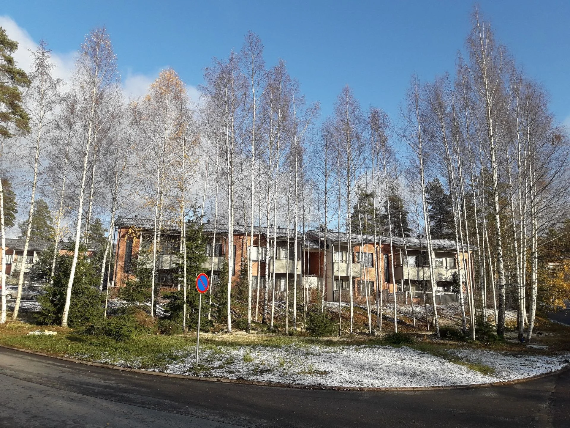 Puuston kuntoarviot Uudemaan Pihapuu