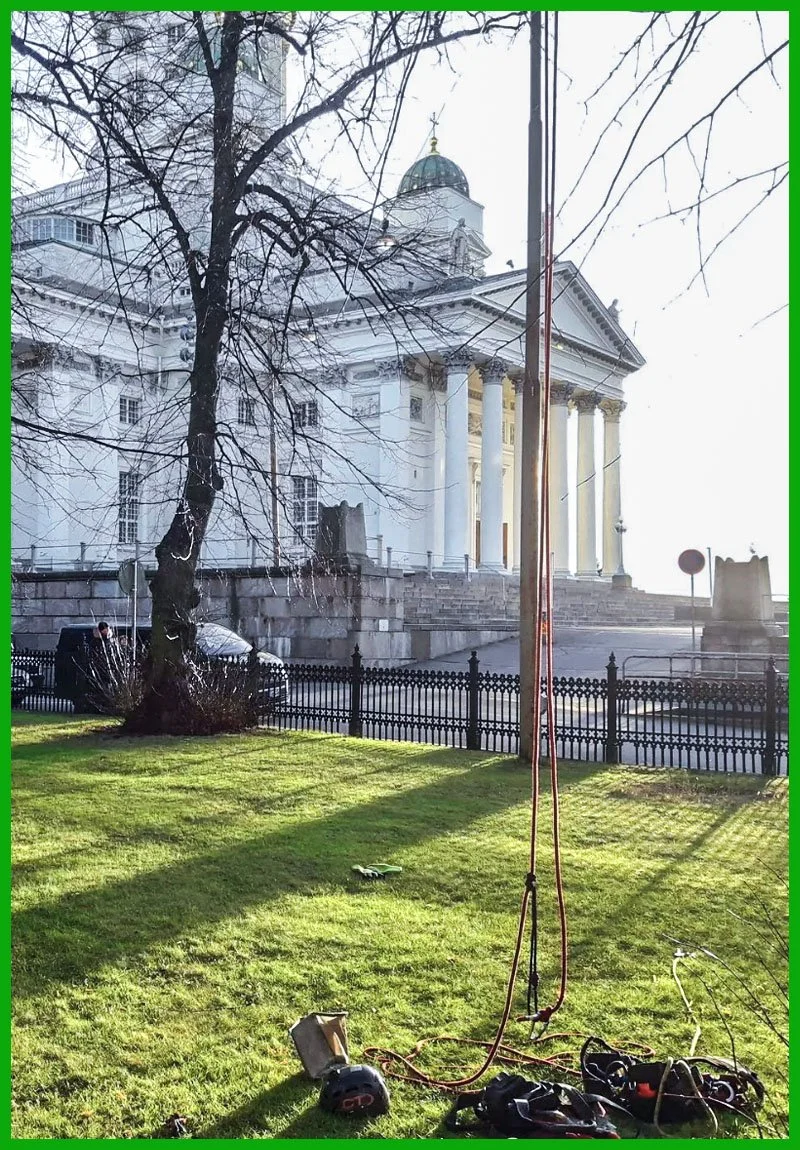 Puiden leikkaus ja hoito Uudenmaan Pihapuu