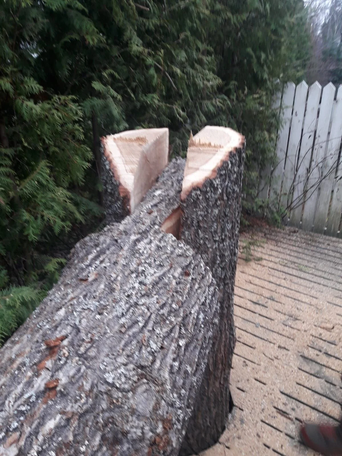 Runkojen pätkintä Uudemaan Pihapuu