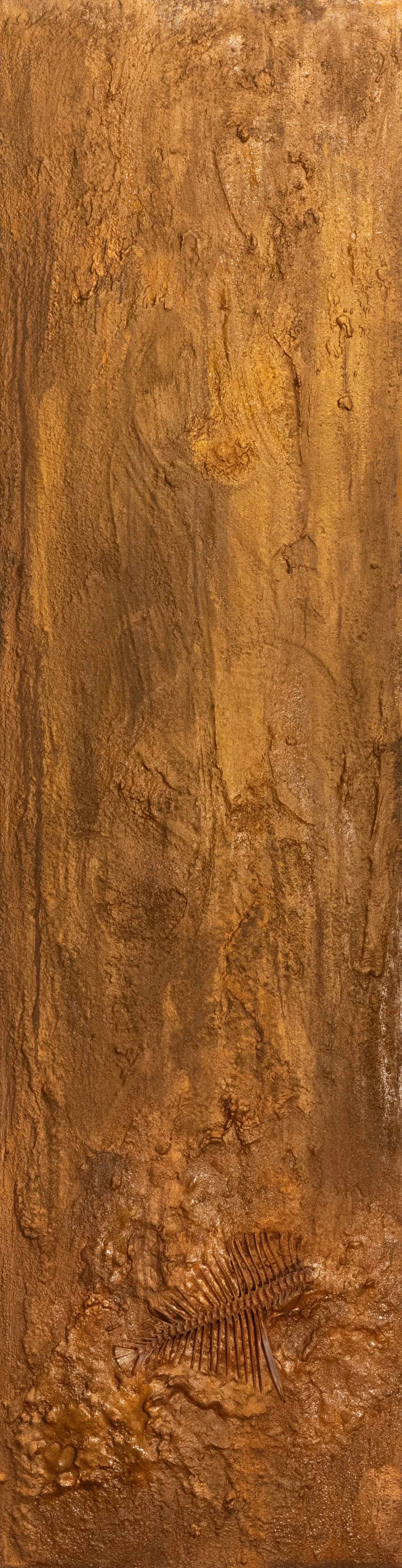 Fossil eines Fischs in Sedimentgestein mit Muscheln oder Einschlüsse.