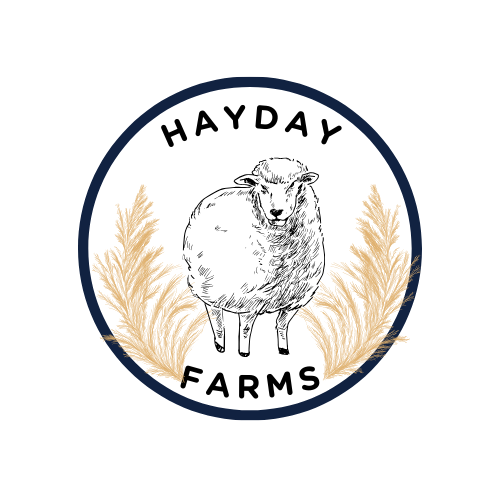 Logo for Hayday Farms featuring a sheep in the center, surrounded by hay or wheat and enclosed in a circular border.