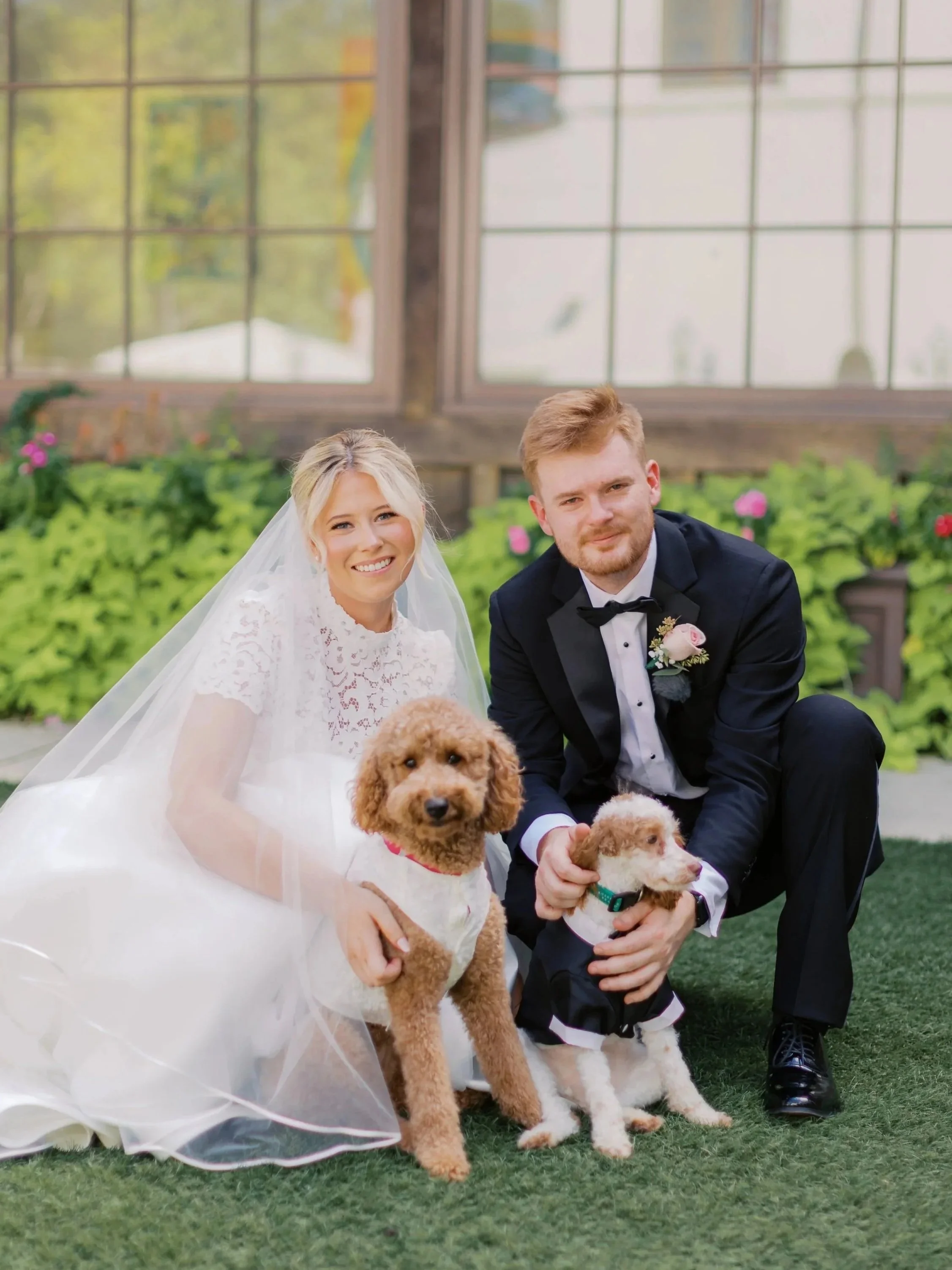 A bride and groom sit on the grass with three dogs inside, a couple of small puppies and a larger dog. The bride is wearing a white wedding dress and veil, while the groom is dressed in a tuxedo. They are smiling in front of a wooden and glass greenhouse wall, with flowers and greenery around them.
