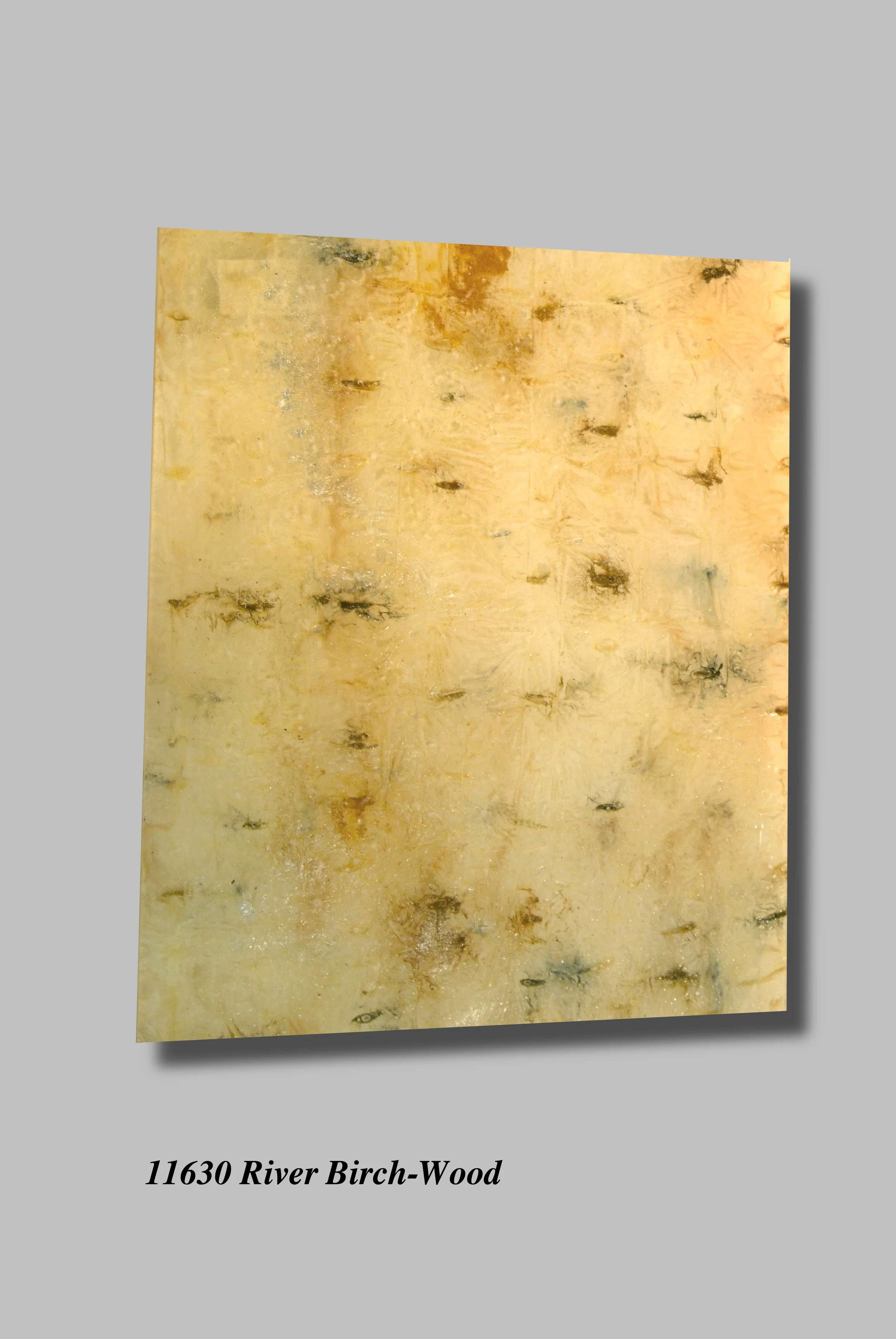11630 River Birch-Wood.jpg