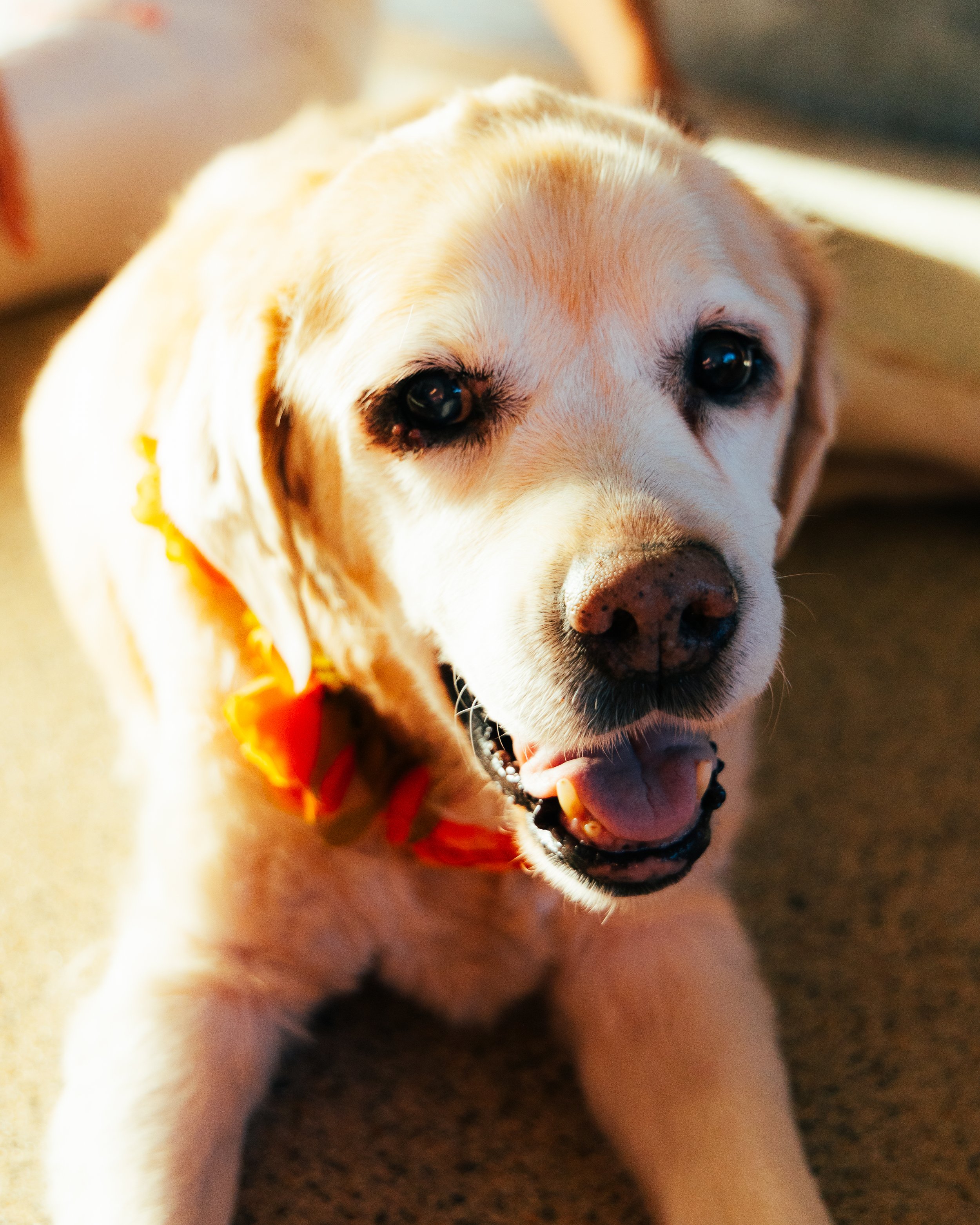 20220913 Ohana-22.jpg