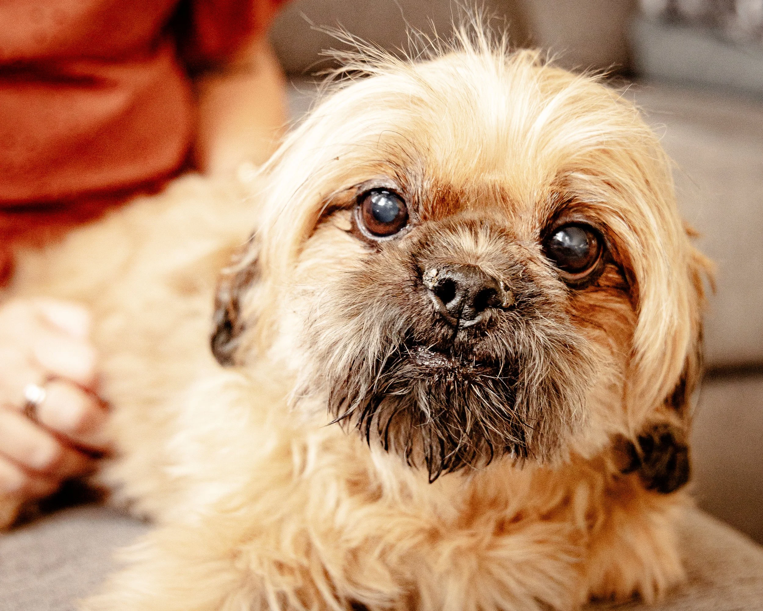 20230924 Howard-15.jpg