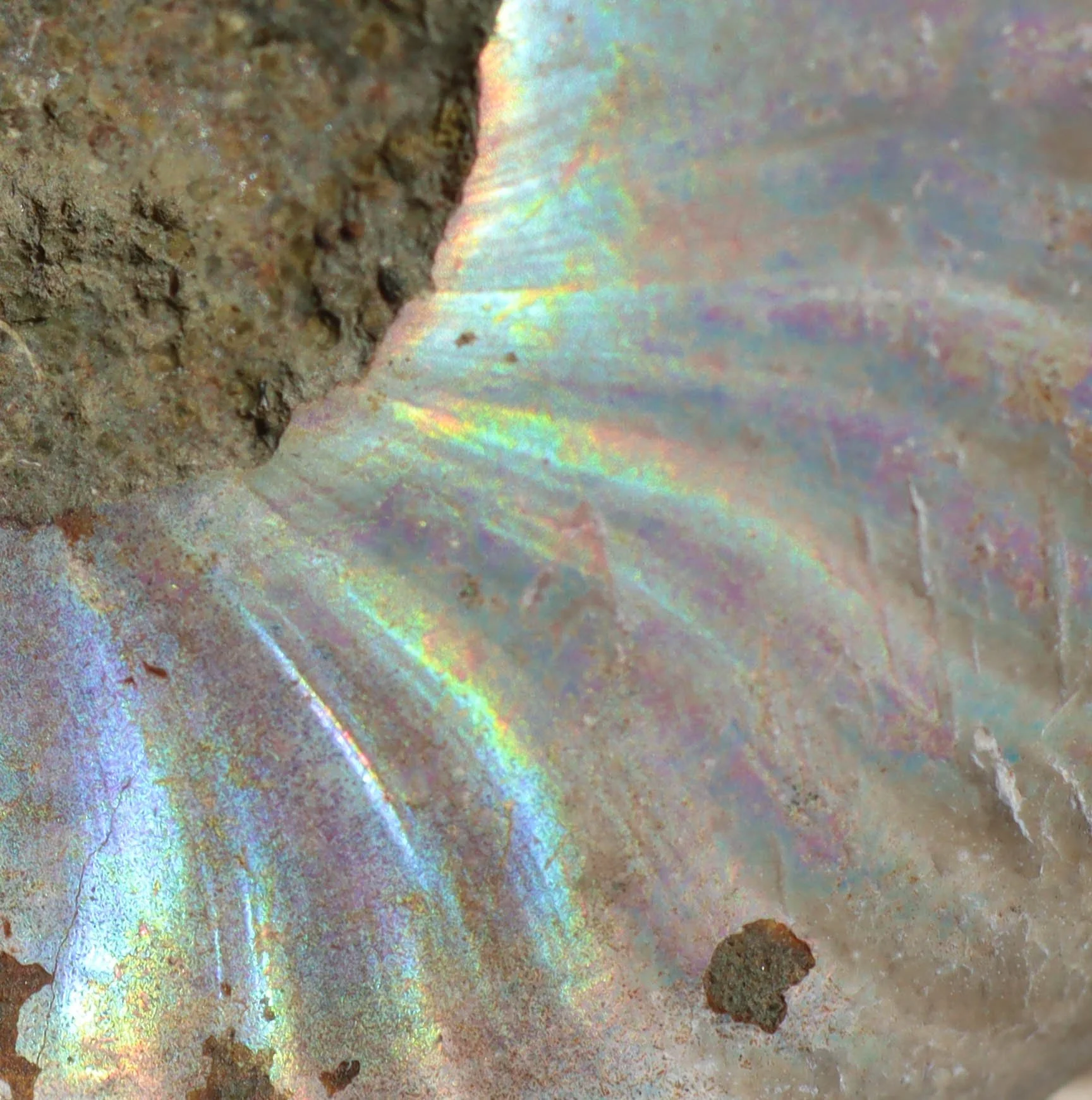 Close-up of a dirt and iridescent surface with rainbow-like colors.