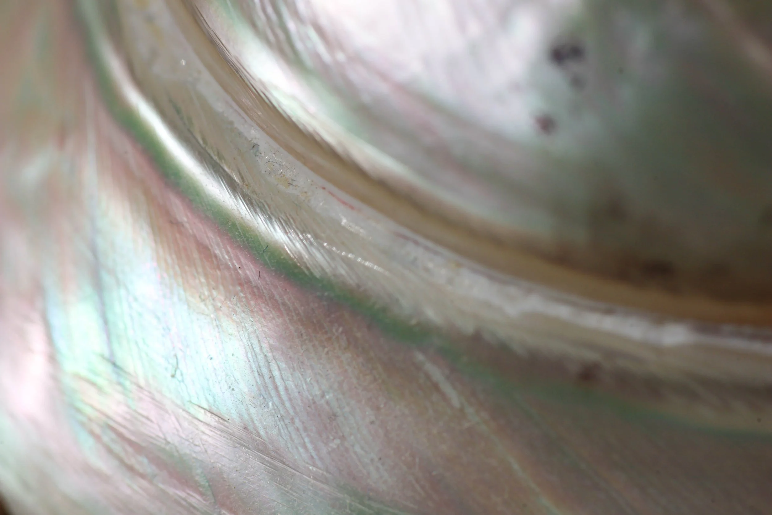 Close-up of a translucent, iridescent surface with smooth, curved textures and soft pastel colors reflecting light.