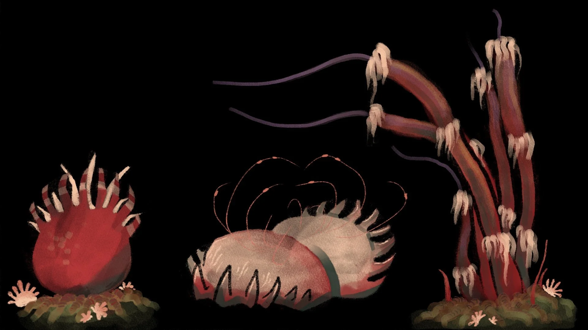 Venus_flytrap_concepts01.JPG