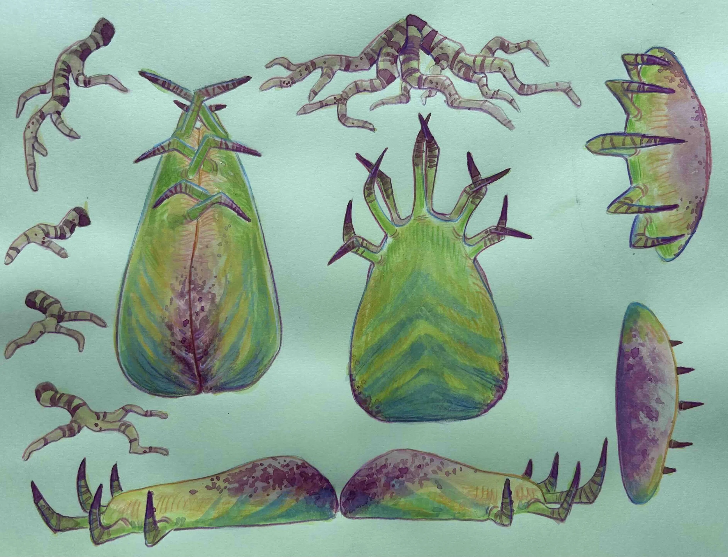 Flytrap_pieces_lowres.jpg
