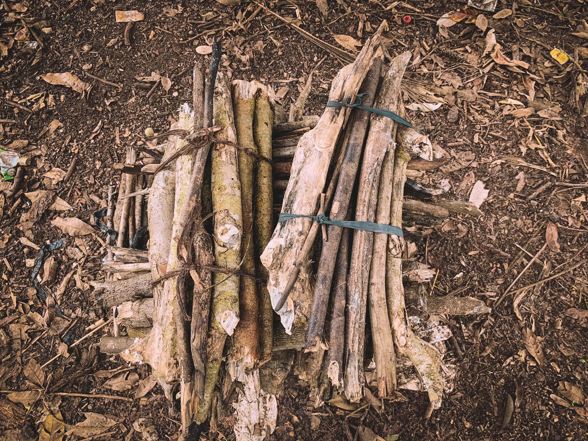 Pile of chopped firewood arranged on the ground amidst dry leaves and natural debris.