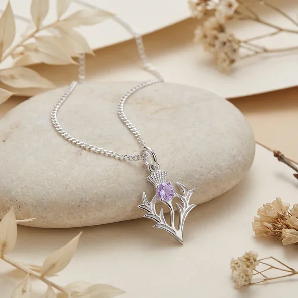 Sterling Silver Scottish Thistle Pendant, round amethyst claw set, feathered head, shown on sea stone with dried botanicals