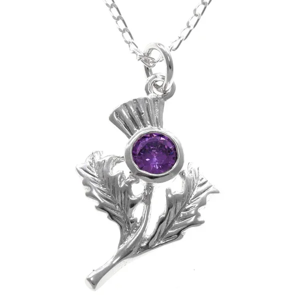 Sterling Silver Scottish Thistle Pendant, round amethyst bezel set, naturalistic leaf detail.
