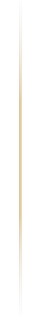 A vertical line of multicolored feathers with a gold trim on the left side