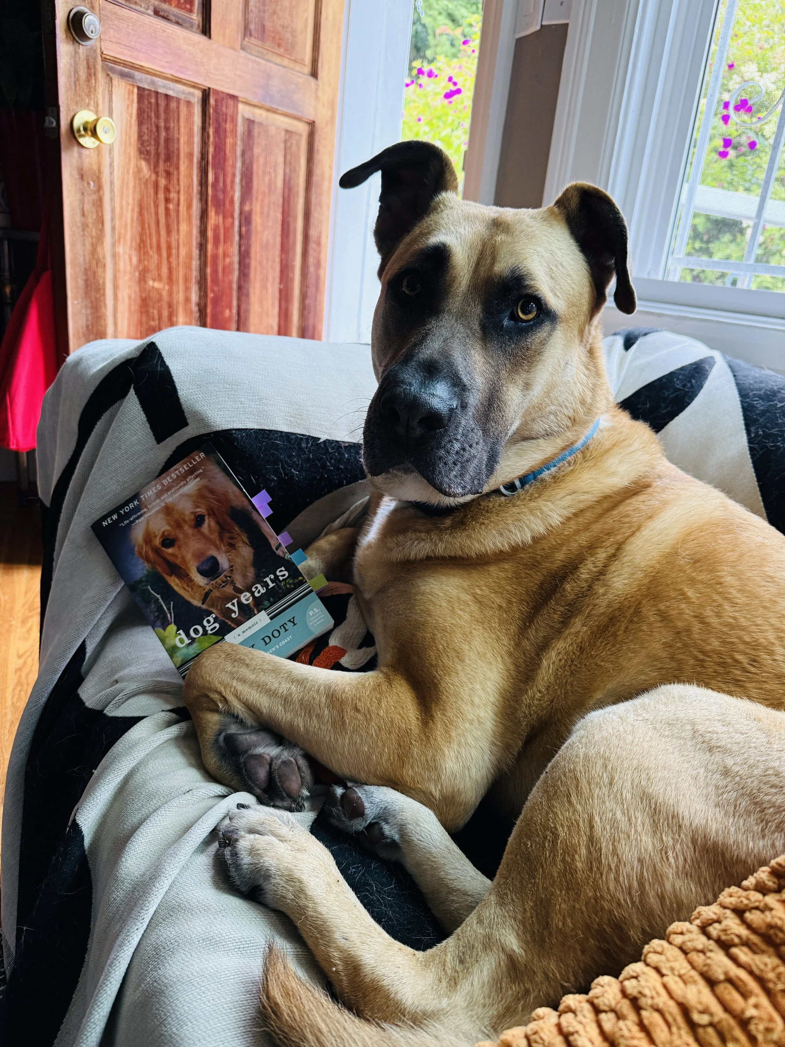 Buck relaxes with a good read.
