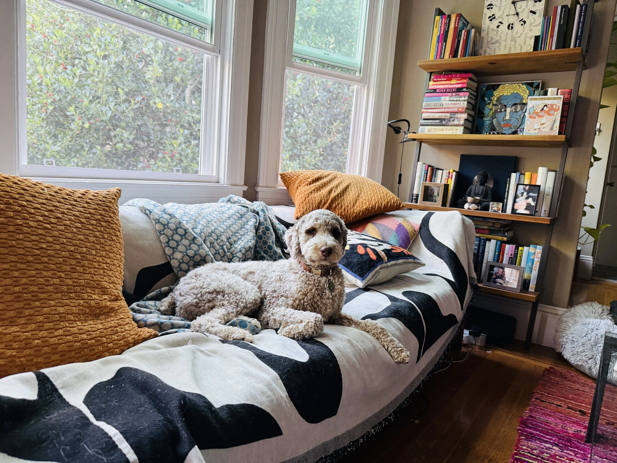 Claire settles in.