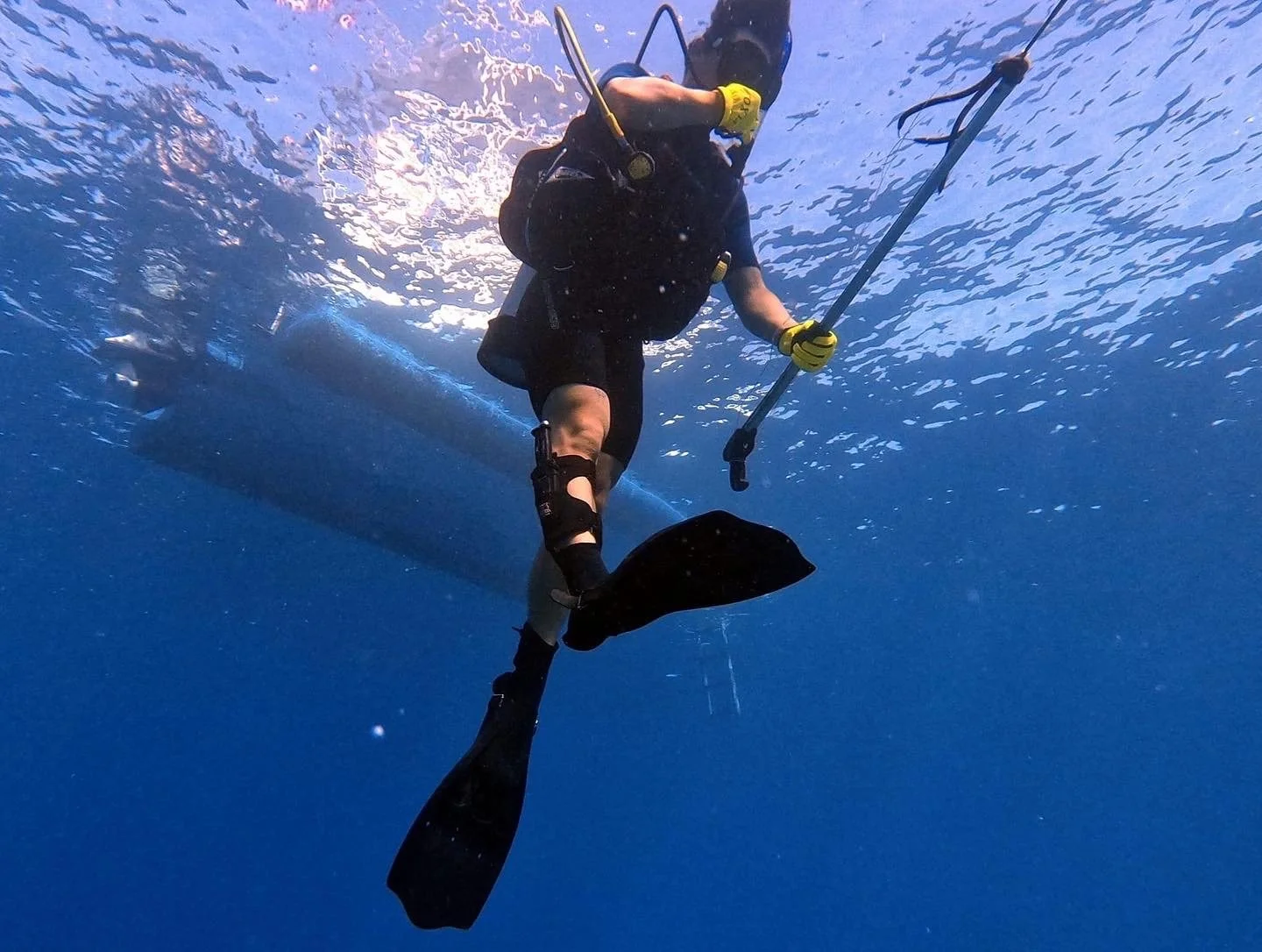 A person scuba diving underwater with a spear gun, wearing a wetsuit, fins, and gloves.