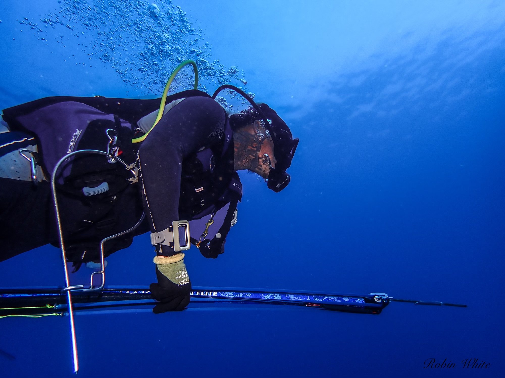 An underwater photograph of a scuba diver holding a fishing spear with a dark blue ocean background.