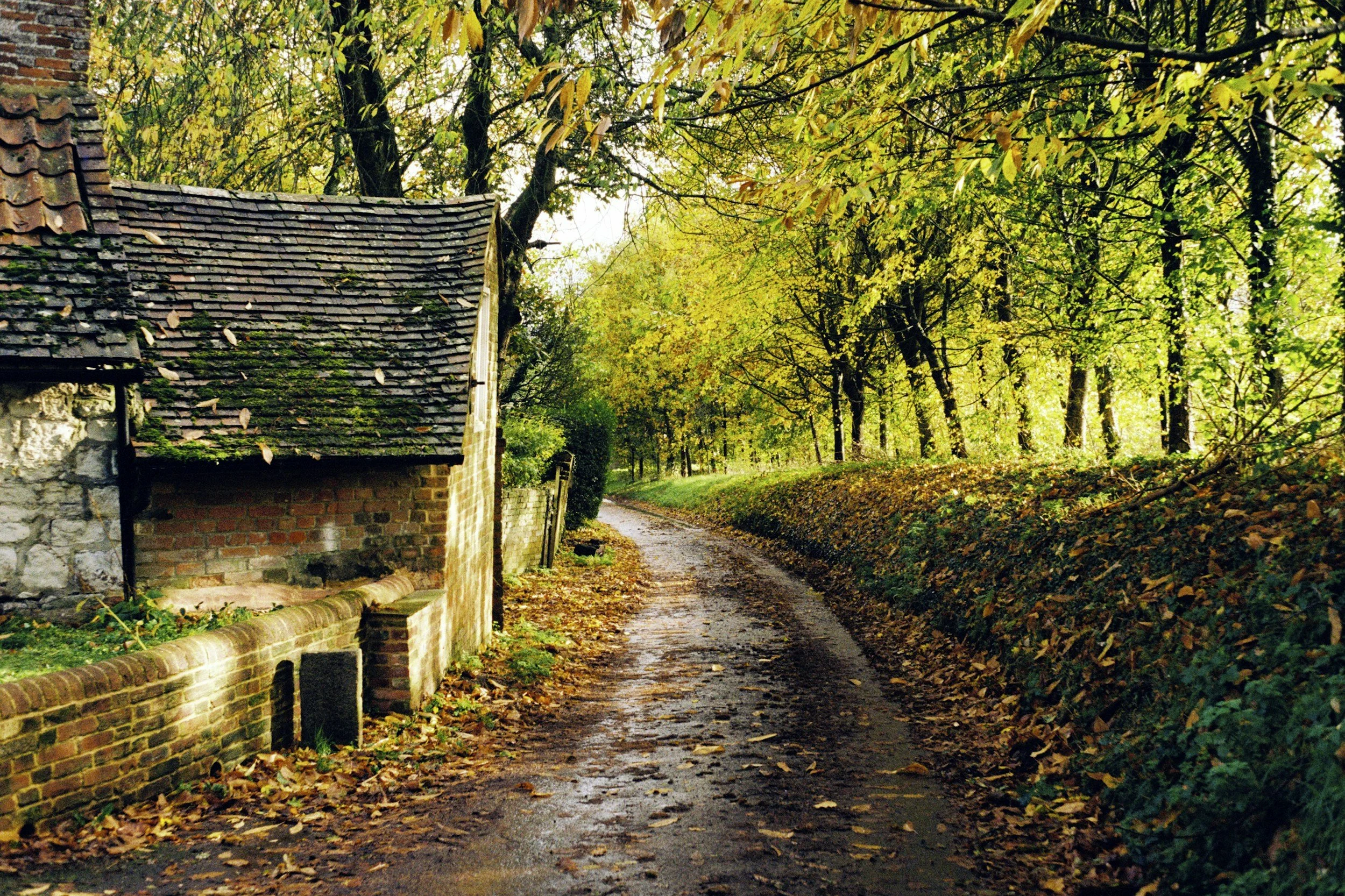 A dirt pathway running alongside a stone and brick house, surrounded by lush green trees with autumn leaves on the ground.