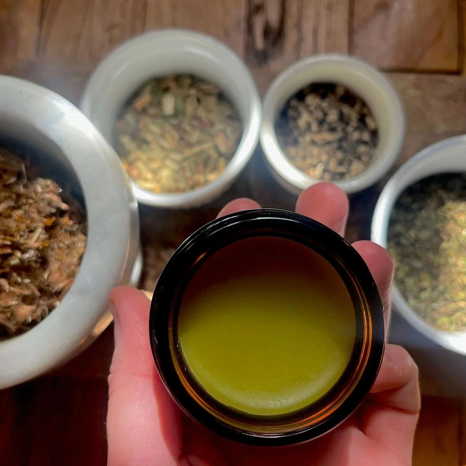 arnica3.jpg